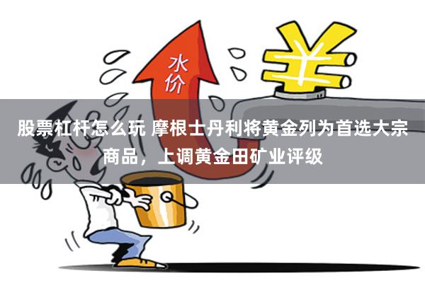 股票杠杆怎么玩 摩根士丹利将黄金列为首选大宗商品，上调黄金田矿业评级