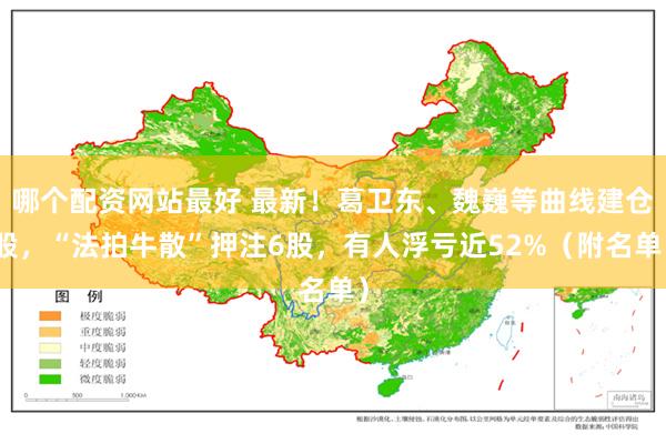 哪个配资网站最好 最新！葛卫东、魏巍等曲线建仓股，“法拍牛散”押注6股，有人浮亏近52%（附名单）