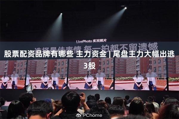 股票配资品牌有哪些 主力资金 | 尾盘主力大幅出逃3股