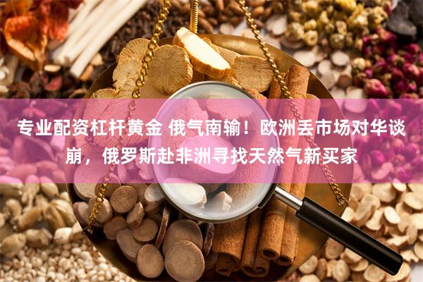 专业配资杠杆黄金 俄气南输！欧洲丢市场对华谈崩，俄罗斯赴非洲寻找天然气新买家