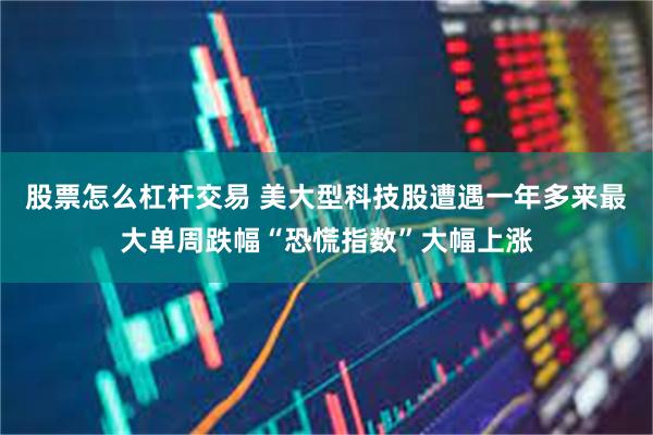 股票怎么杠杆交易 美大型科技股遭遇一年多来最大单周跌幅“恐慌指数”大幅上涨